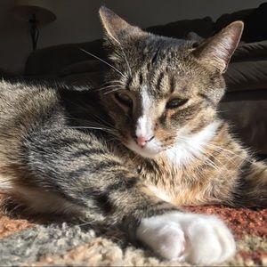 Meet your Posher, Riley